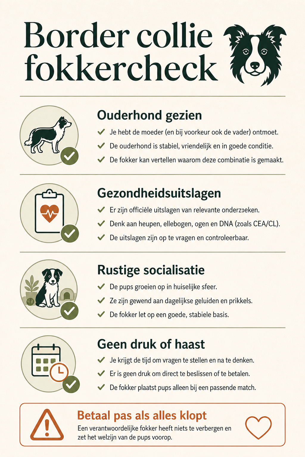 Border collie fokkercheck infographic